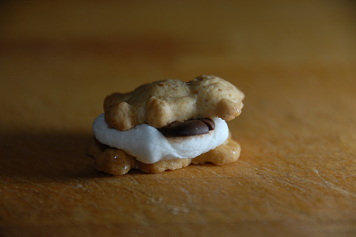 Photo of solar panel s'mores